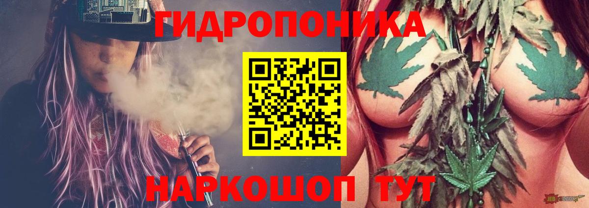 Каннабис OG Kush Кувандык